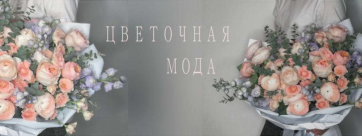 Frame: Слайдшоу, Карусель, Баннер 1